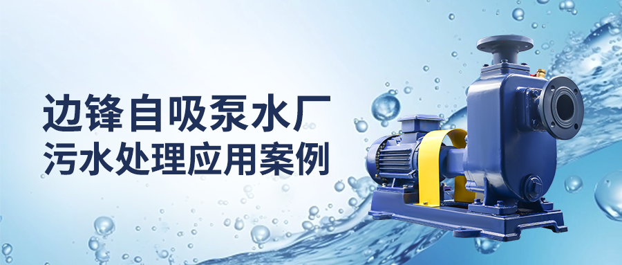 邊鋒自吸泵水廠(chǎng)污水處理應(yīng)用案例